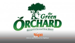 The Green Orchard